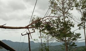 PLN ULP Cikajang Gerak Cepat Pulihkan Pasokan Listrik Sekaligus Lakukan Upaya Preventif Hadapi Cuaca Ekstrem PLN ULP Cikajang Gerak Cepat Pulihkan Pasokan Listrik Sekaligus Lakukan Upaya Preventif Hadapi Cuaca Ekstrem