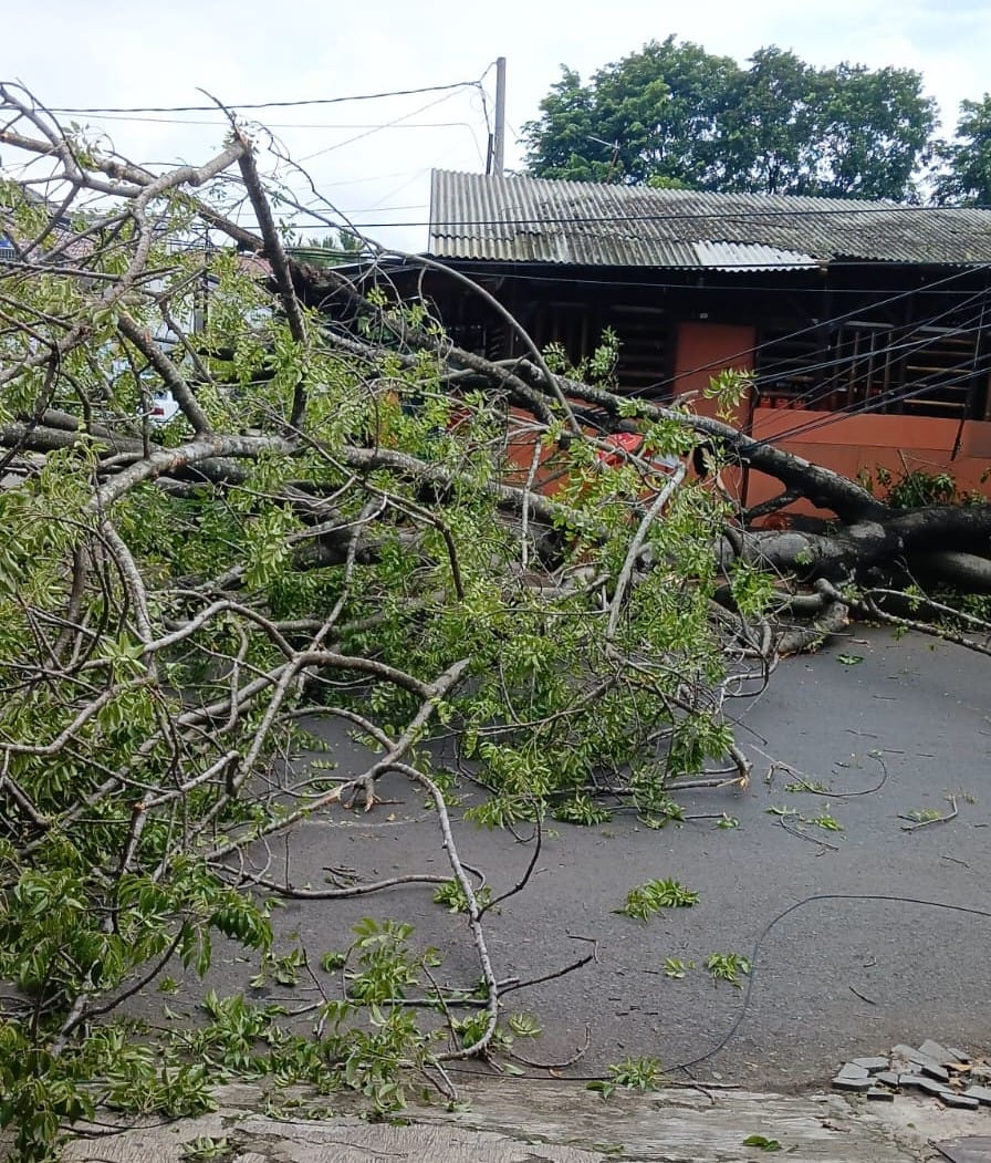 Pohon Tumbang di Subang Kota Telan Korban Lagi
