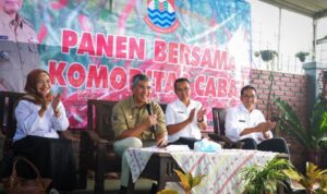 Panen Pertama Gerakan Tanam Pangan Cepat Panen