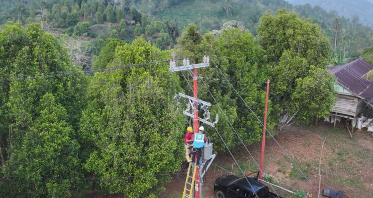 Akhirnya 33 Dusun Terpencil Sulawesi Selatan Dilistriki PLN, Menyala 24 Jam!