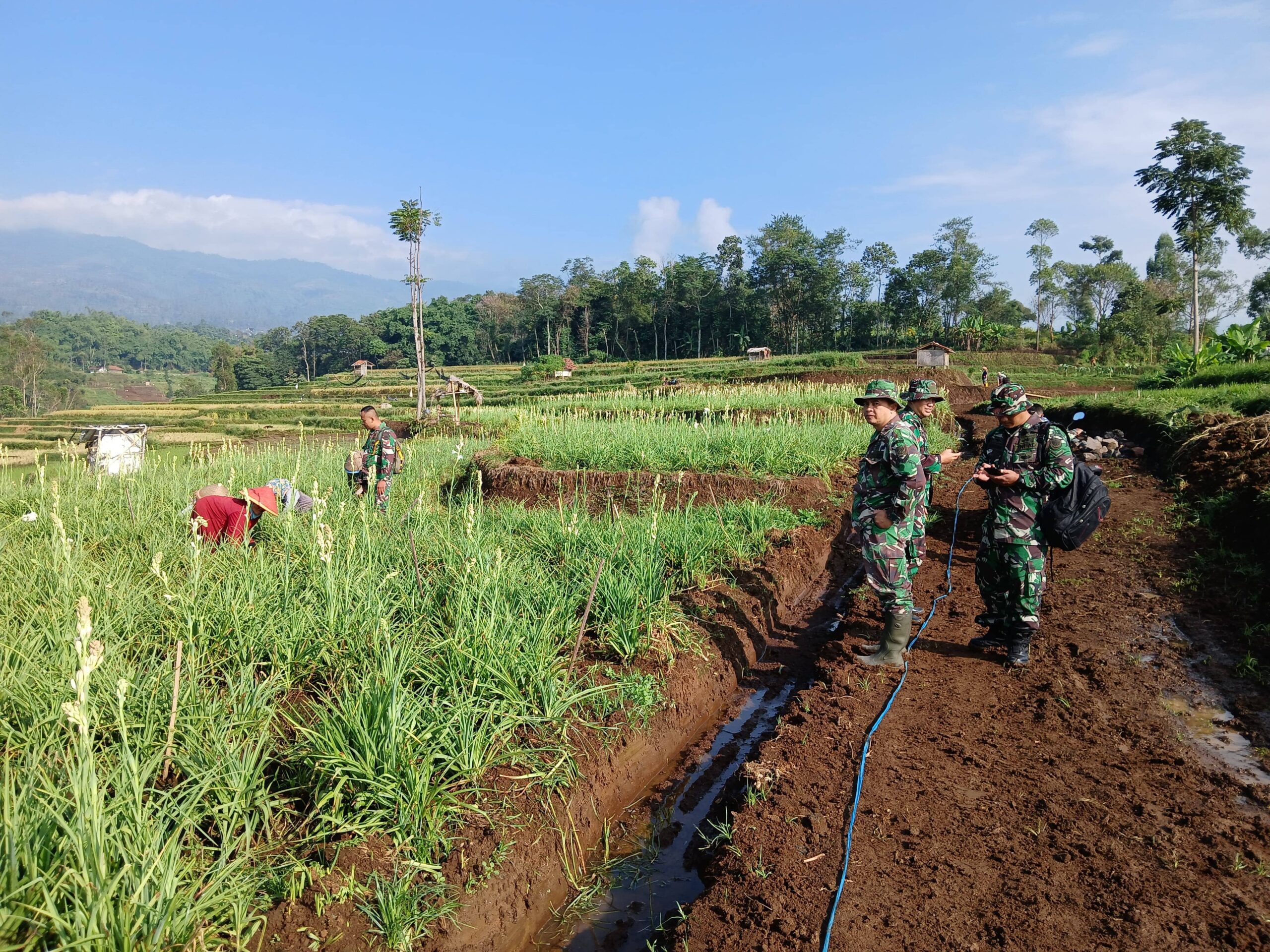 Petani Bunga Sedap Malam Merasa Terbantu Adanya TMMD ke-120 Kodim 0611/Garut1