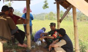 Konsep 'Ngadu Bako' Sambut Hasil Positif Program TMMD di Desa Cintadamai