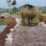 Program TMMD ke-120 Berikan Manfaat Nyata bagi Warga Kampung Buleud