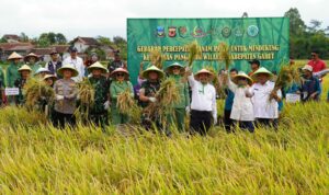 TNI AD Gandeng Kementerian Pertanian dalam Program Ketahanan Pangan TNI AD Gandeng Kementerian Pertanian dalam Program Ketahanan Pangan