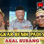Hasilkan Benih Padi Kualitas Tinggi, Tiga Penangkar Benih Asal Subang Dapat Penghargaan Tingkat Nasional