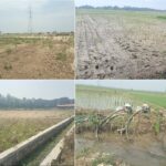 Menghadapi Kemarau Panjang, Petani Lakukan Pompanisasi Irigasi