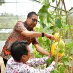 Siapkan Pertanian Unggulan, Pj Bupati Indramayu Kunjungi Balai Benih Hortikultura