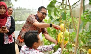 Siapkan Pertanian Unggulan, Pj Bupati Indramayu Kunjungi Balai Benih Hortikultura