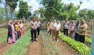Kapolres Garut Gelar Monitoring dan Pendampingan KWT Kapolres Garut Gelar Monitoring dan Pendampingan KWT
