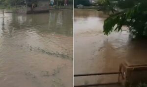 Kerap Dilanda Banjir Akibat Sungai Dangkal & Tanggul Rusak, Petani Budidaya Ikan Desa Gembor Rugi Ratusan Juta