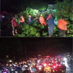 Pohon Tumbang Akibatkan Mati Lampu Dan Kemacetan Jalan di Dangdeur
