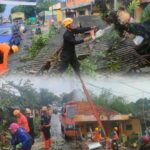 Pohon Tumbang Di Dangdeur Menimpa Bangunan Tambal Ban