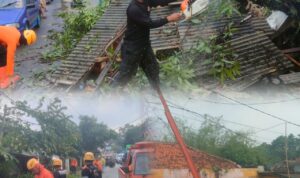 Pohon Tumbang Di Dangdeur Menimpa Bangunan Tambal Ban Pohon Tumbang Di Dangdeur Menimpa Bangunan Tambal Ban