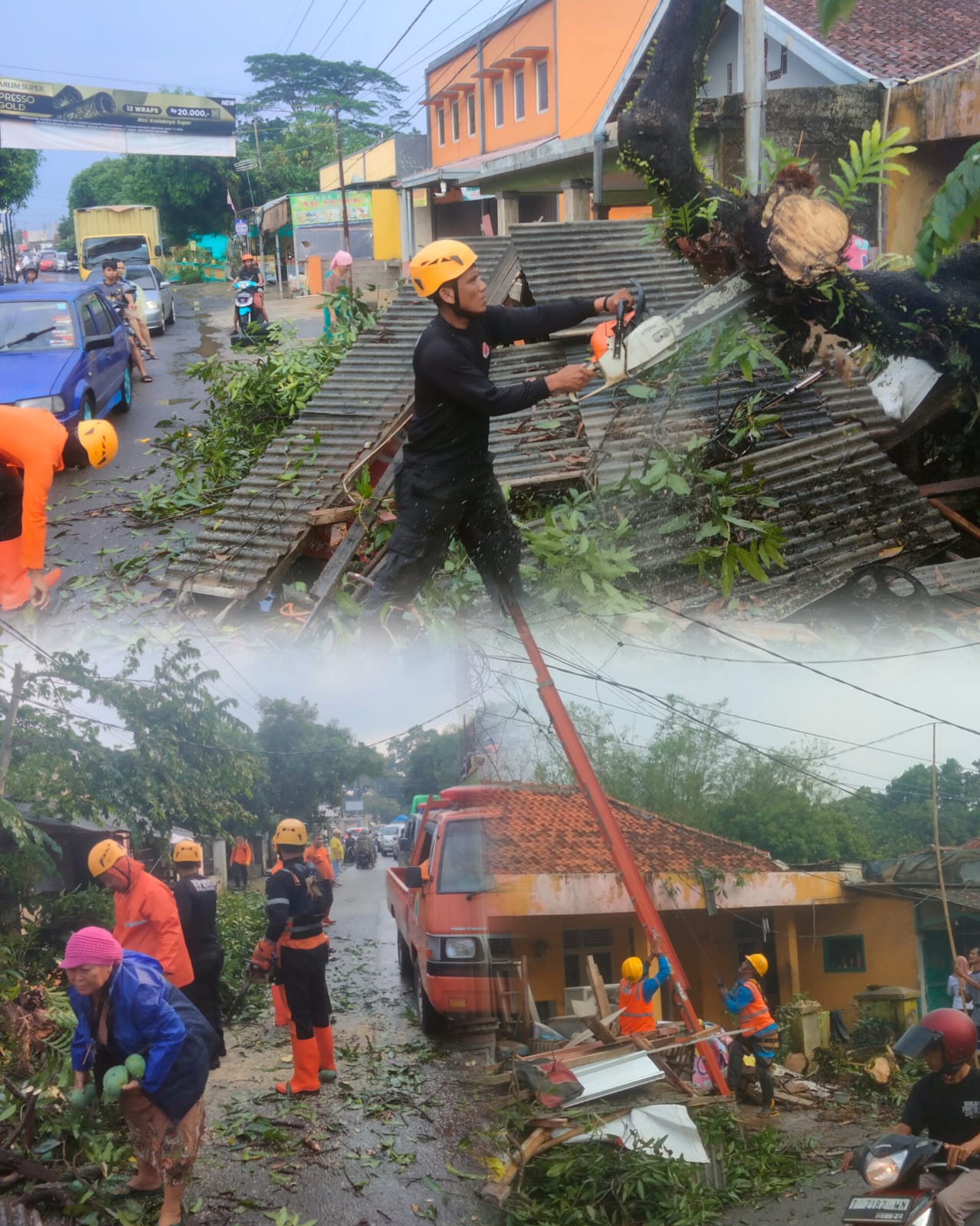 Pohon Tumbang Di Dangdeur Menimpa Bangunan Tambal Ban
