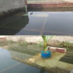 Rumah Warga Di Desa Padamulya Ambruk Akibat Terendam Banjir