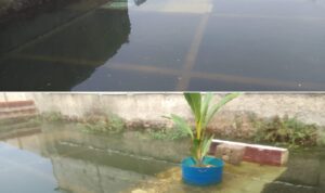 Rumah Warga Di Desa Padamulya Ambruk Akibat Terendam Banjir Rumah Warga Di Desa Padamulya Ambruk Akibat Terendam Banjir