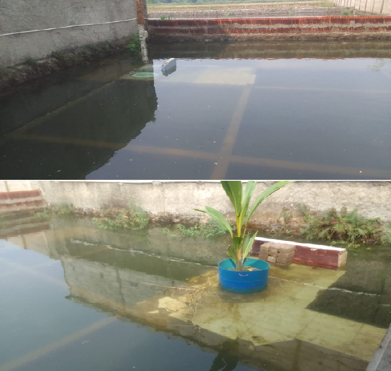 Rumah Warga Di Desa Padamulya Ambruk Akibat Terendam Banjir