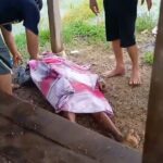 Seorang Pengembala Kambing Meninggal Tersambar Petir Di Tengah Sawah