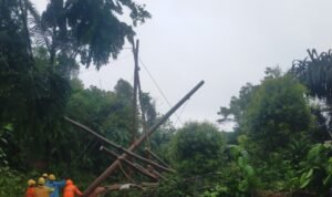 326 Petugas PLN UID Jabar All Out Pulihkan Kelistrikan di Sukabumi dan Cianjur
