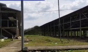 Inilah Klarifikasi Pengusaha Ternak Ayam Terkait Dugaan Pengeroyokan Wartawan Di Subang