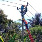 Tim Recovery PLN Garut Gerak Cepat Tangani Listrik Padam Akibat Pohon Tumbang, Jaga Kualitas Pelayanan Menjelang Hari Buruh