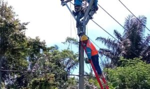 Tim Recovery PLN Garut Gerak Cepat Tangani Listrik Padam Akibat Pohon Tumbang, Jaga Kualitas Pelayanan Menjelang Hari Buruh
