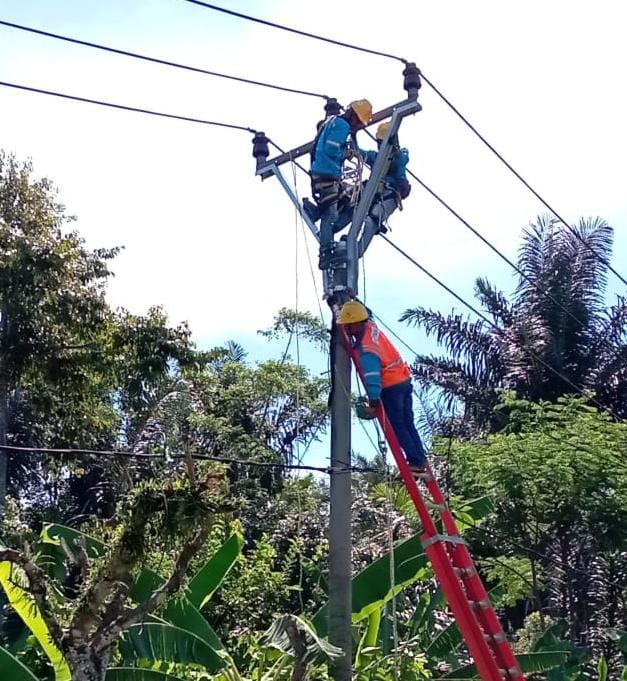 Tim Recovery PLN Garut Gerak Cepat Tangani Listrik Padam Akibat Pohon Tumbang, Jaga Kualitas Pelayanan Menjelang Hari Buruh