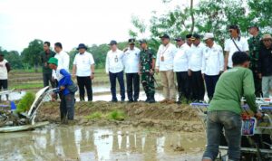 Wabup Indramayu Lakukan Percepatan Tanam di Lahan 11 Ribu Hektar