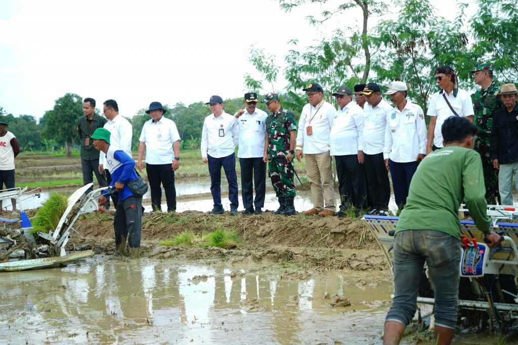 Wabup Indramayu Lakukan Percepatan Tanam di Lahan 11 Ribu Hektar