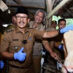 Jelang Iduladha, Wabup Indramayu Monitoring Ketersediaan dan Kesehatan Hewan Qurban