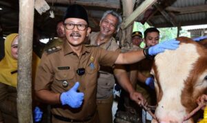 Jelang Iduladha, Wabup Indramayu Monitoring Ketersediaan dan Kesehatan Hewan Qurban