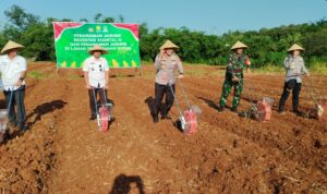 Kapolres Subang Giat Penanaman Jagung Serentak Kuartal III di Kec. Purwadadi Subang Kapolres Subang Giat Penanaman Jagung Serentak Kuartal III di Kec. Purwadadi Subang