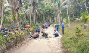 IMG-20261029-WA0018
